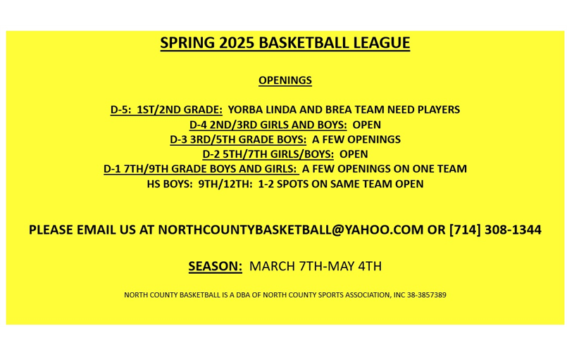 SPRING 2024 BASKETBALL LEAGUE